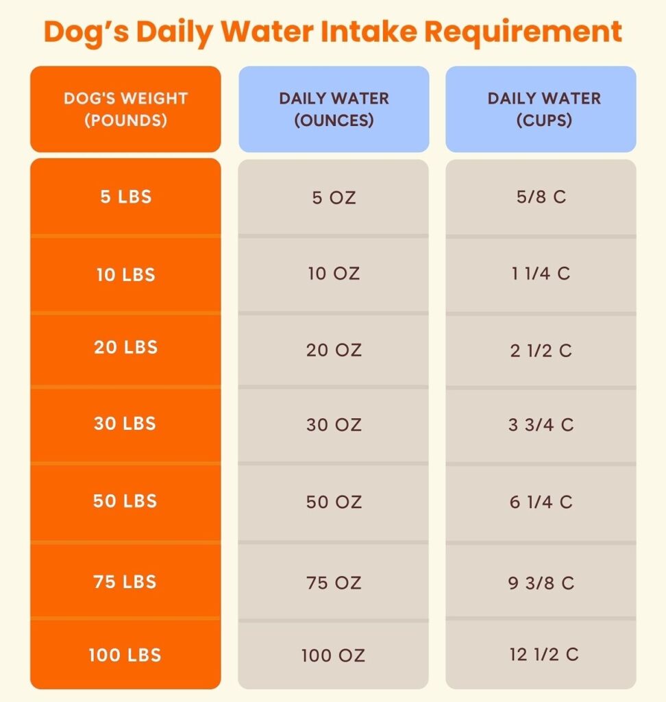 Dog daily water intake