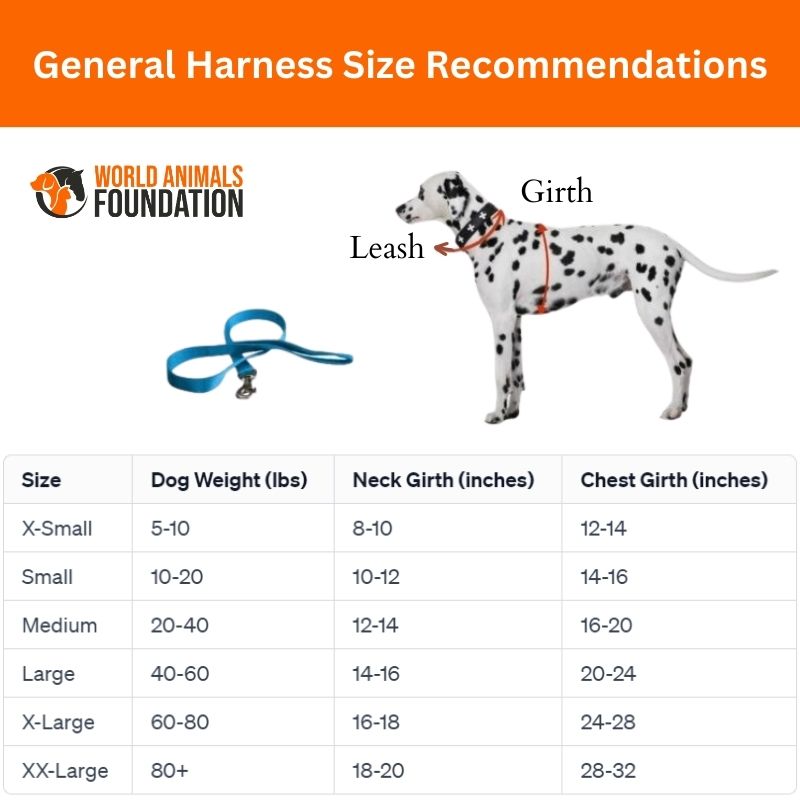 Harness Size Recommendations