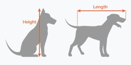 Dog Measurements for Crate