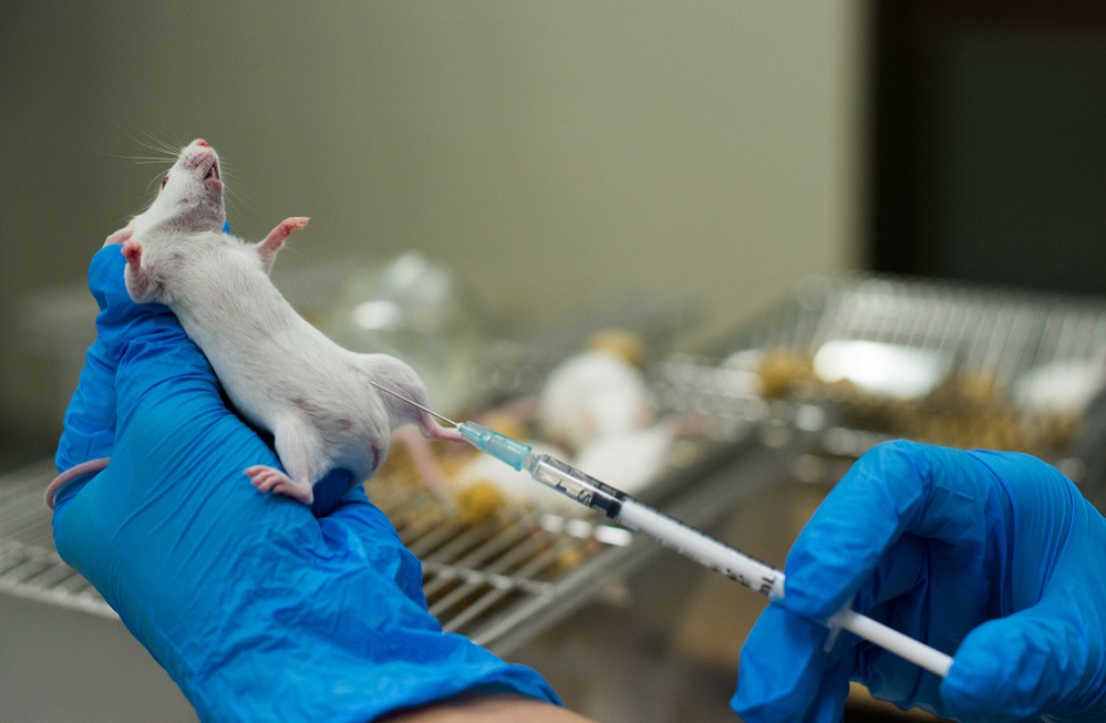 Animal Testing Worldwide