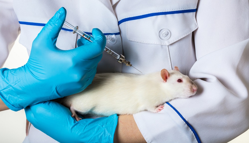 Animal Testing in Medicine