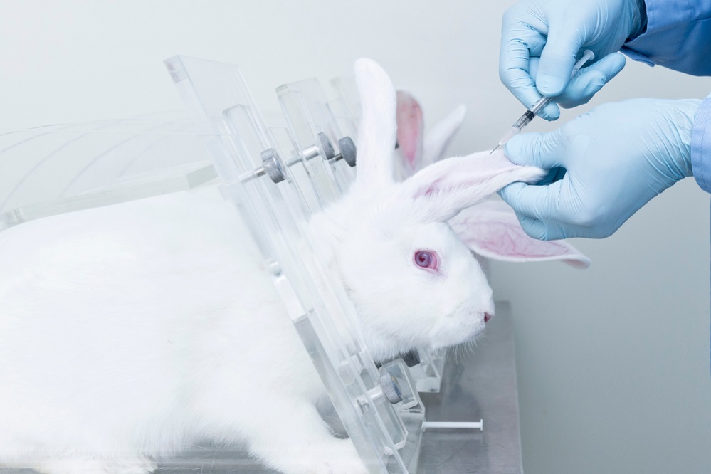 Animals Used for Testing