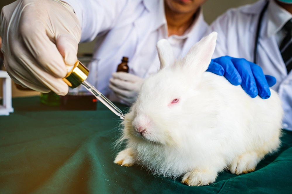 Stopping Animal Testing