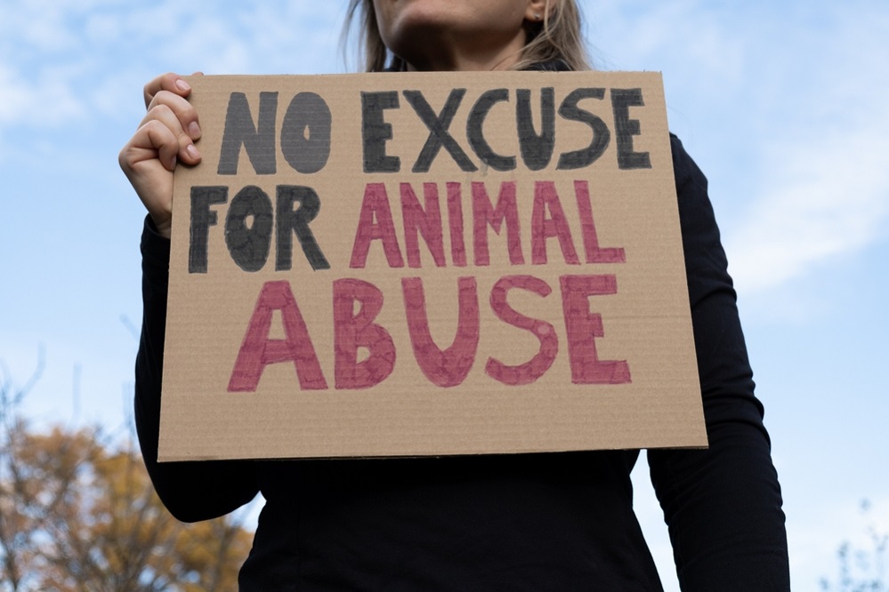 Betrayal of Trust – Animal Abuse Exposed