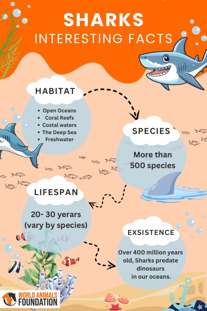 Sharks interesting facts