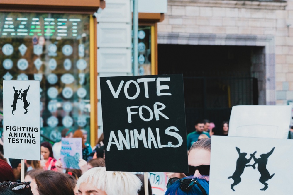 Types of Animal Rights